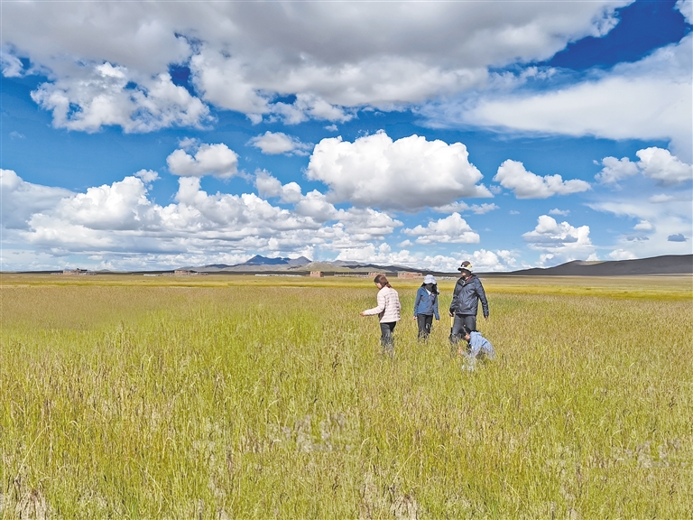 3d动漫专区 漫专我会尽力提供建议