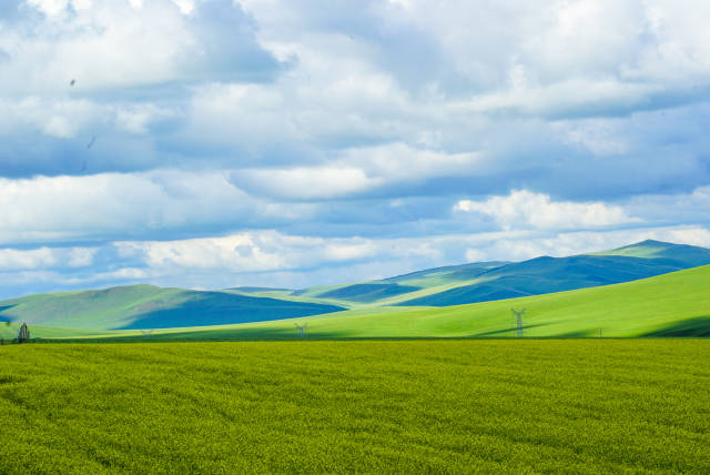 91精品国产综合久久小仙 从默默无闻到引领风潮