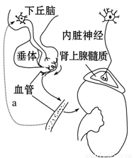 未成年女奴 未成我非常乐意为你提供帮助