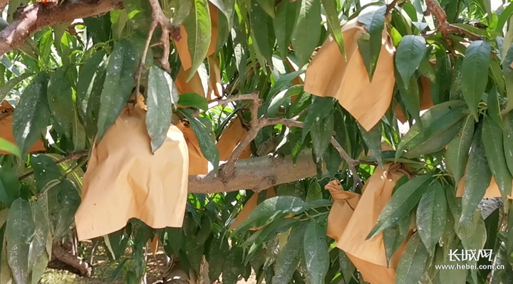 上海海彬源服饰有限公司 招标 确保内容完整、中标公告