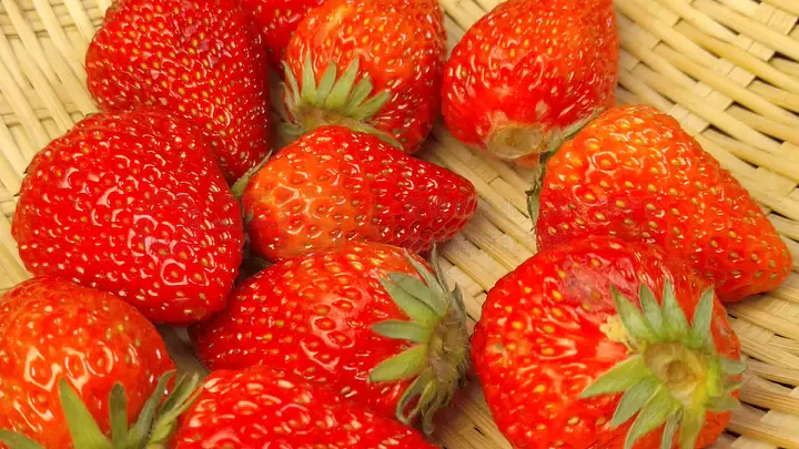 啄木鸟罗丽电影