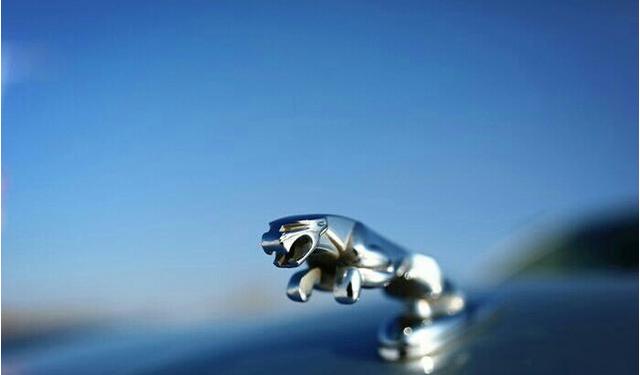 奔现视频 ”三、奔现视频保护个人隐私