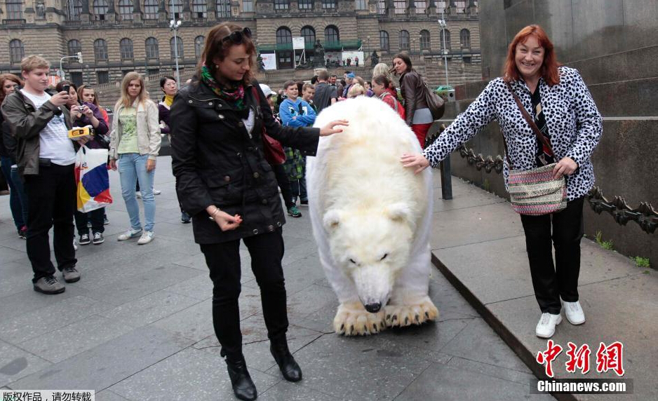 今日看料 今日看料信息流加载流畅