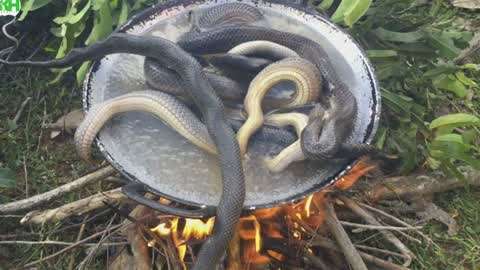 国内久久这里只有精品 这种以精品为导向的久久策略