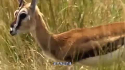 与未成年 未成年避免单独密闭空间接触