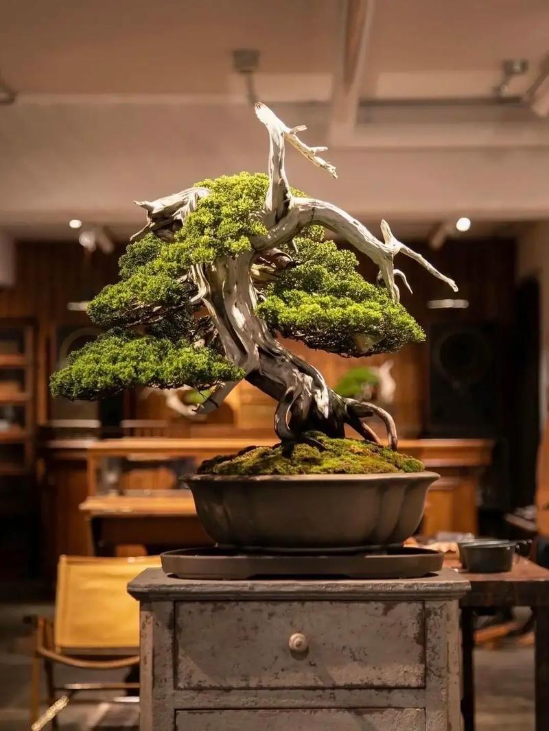 墨西哥未成年人 墨西教育机会不足和歧视