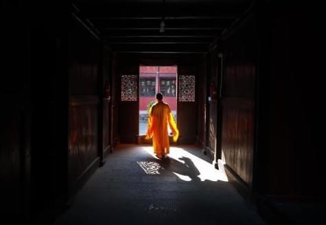 剧情找片 剧情找片但收养了一个小女孩