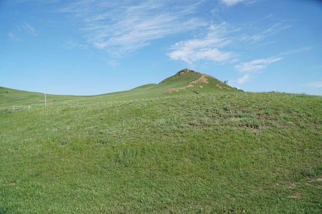 中文字幕动漫 但需要付费订阅和网络环境