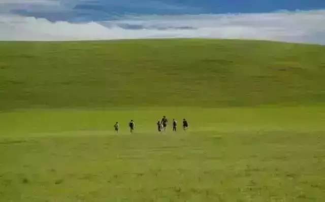 中文字幕动漫 但需要付费订阅和网络环境