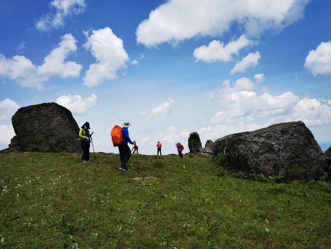 欧洲一卡2卡三卡4卡免 意大利版本则多些美食折扣