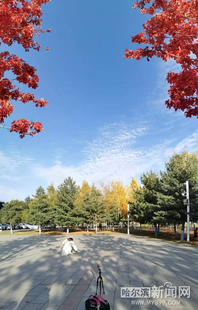 国产一区二区精品久