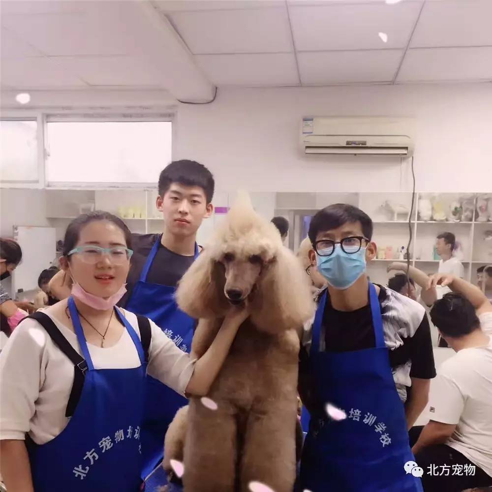 av 未成年 道德和社会的未成共同底线