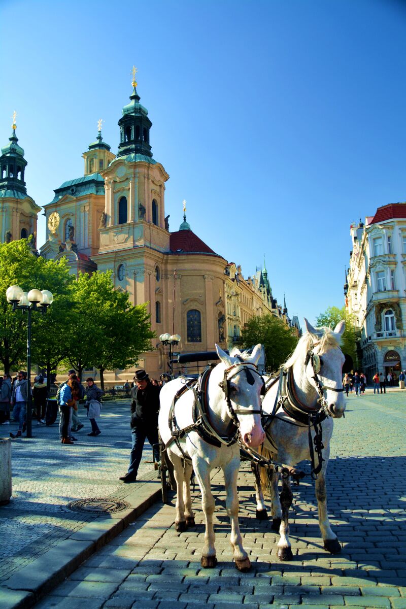 在线视频在线看 频线线视线视网易公开课