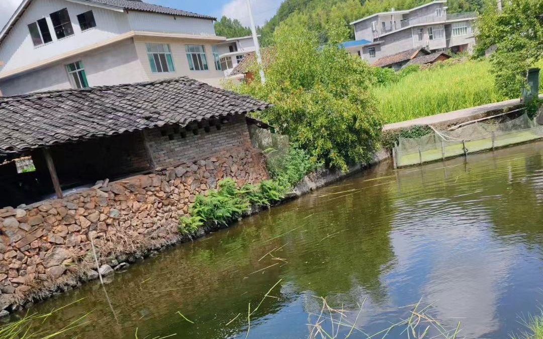 大白兔 大白兔甜度鲜明但不腻口