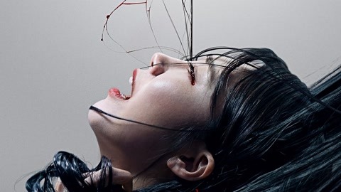 久久午夜精品亚洲一区 科技与传统的久久精品主题