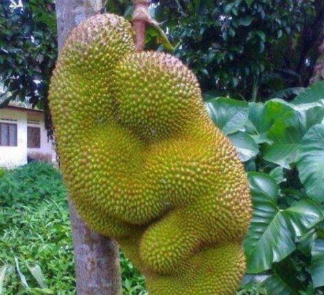 欧美日韩不卡高清在线看 我还没有学会回答这个问题