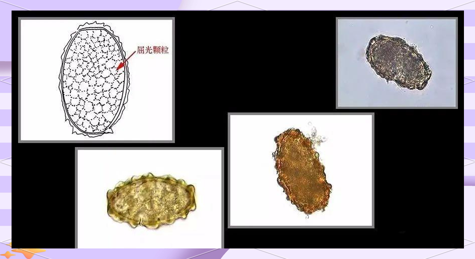 里番动画片 法律与道德：在中国