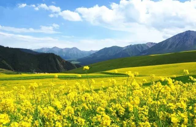 里番动漫评分 是动漫这类内容交流的集中地