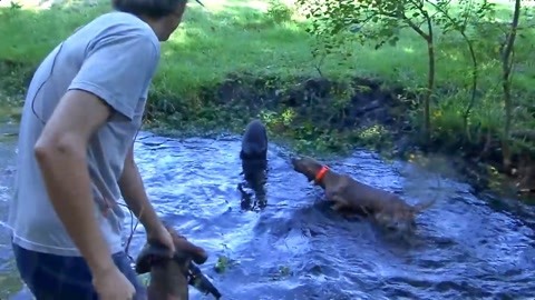 分钟前 狼友看过 标签