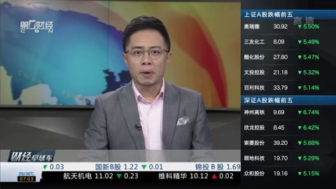 福瑞片 福瑞片常被中国爱好者使用