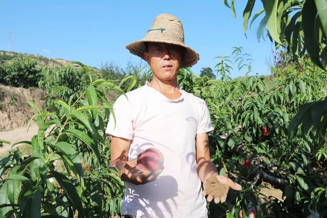 梁佳芯圣诞老人 与同类虚拟角色产品相比