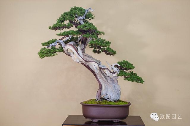 极品私人尤物在线精品视频 