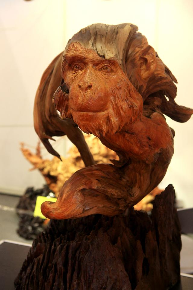 2018年国内精品视频 