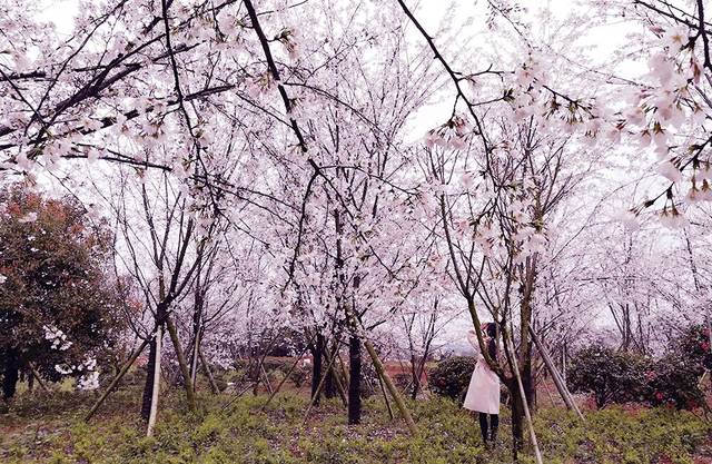 今日吃瓜黑料不打烊 今日部分消息未经过滤