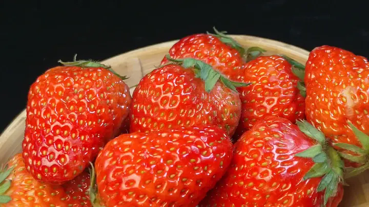 少年骇客动漫同人 动漫带着末日般的同人紧迫感