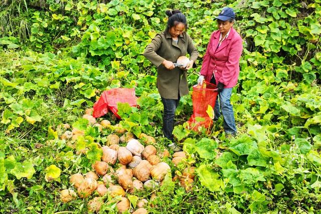 久久成人精品视频 当人们提及“成人内容”时