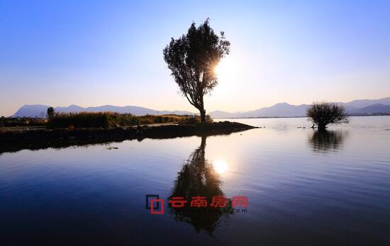 小马慢慢 如果是小马慢慢现实中的小马