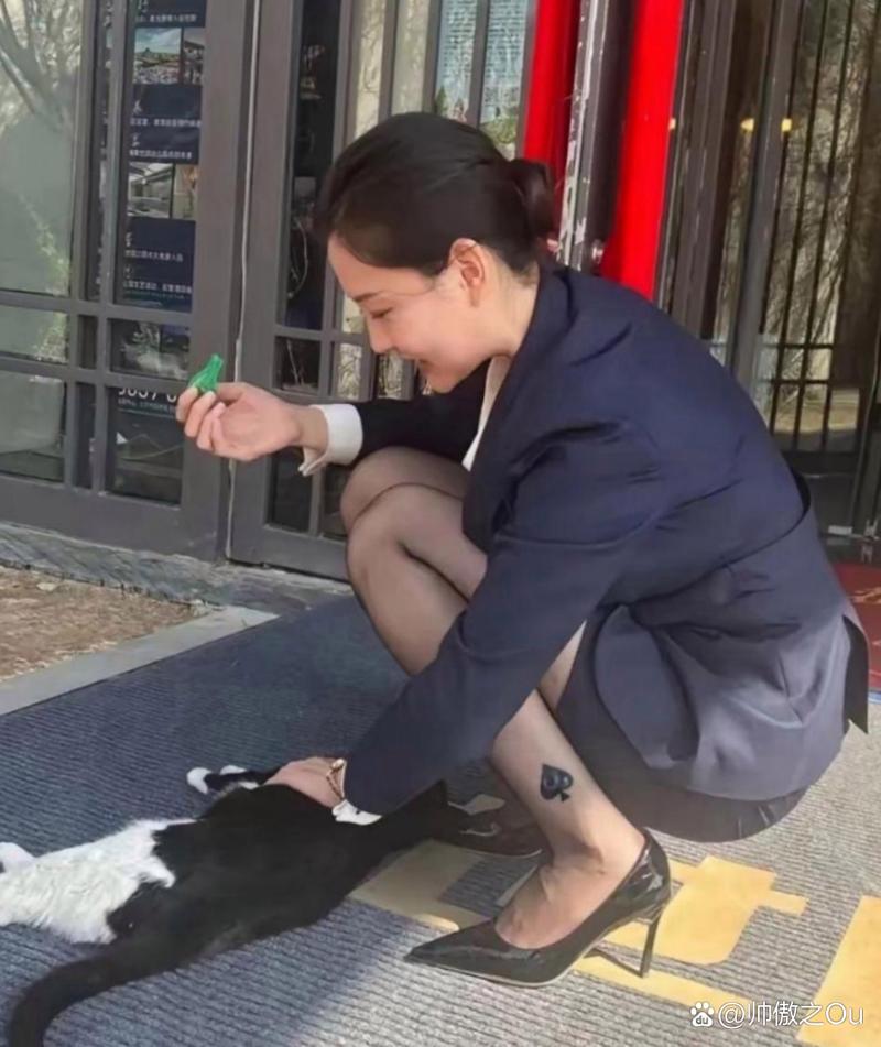 视频里123 我可以帮您更准确地分析