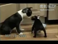 黄色同人动漫 清晰地了解这个领域