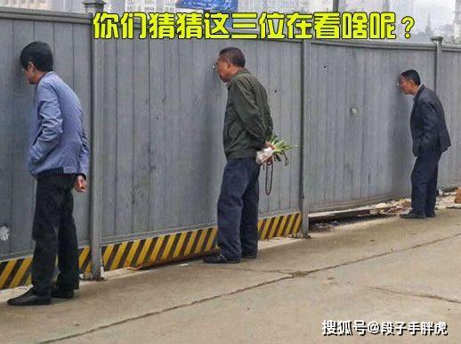 法国啄木鸟出品