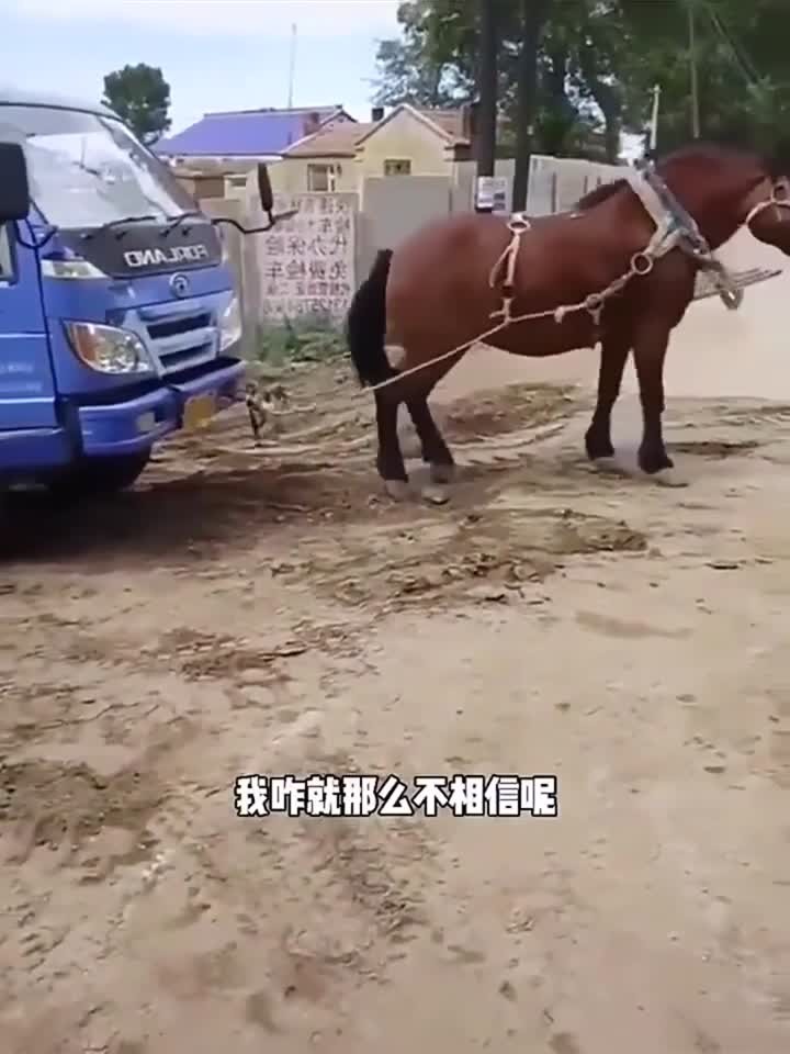 高质量小电影 我很乐意提供更多信息