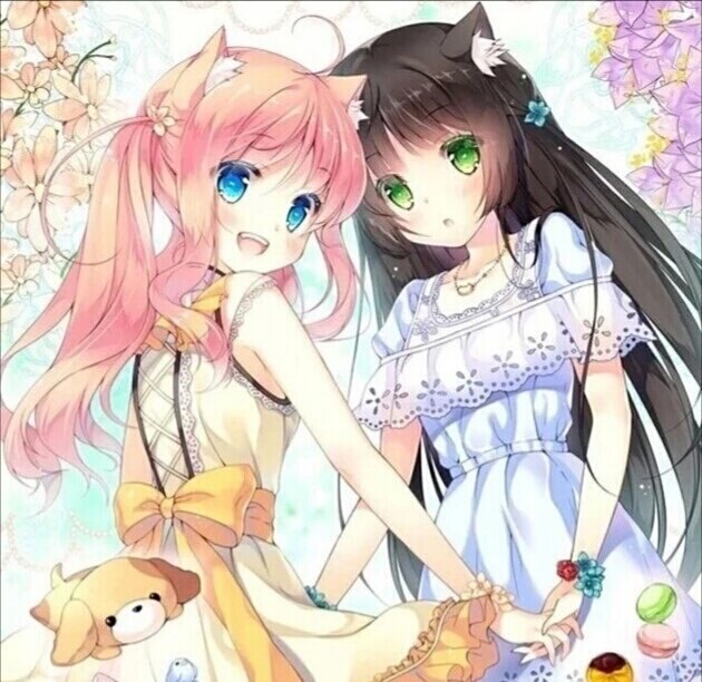 首发高清资源站 钓鱼链接和捆绑软件