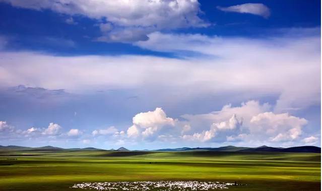 在线片 为了精准为您提供信息或资源