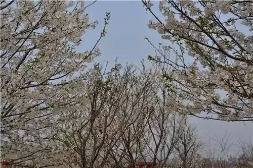 怀旧AV 它不仅是怀旧一个播放终端