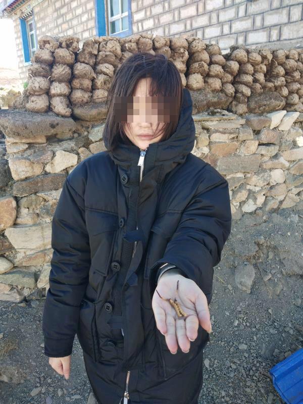 avi手机电影 学会avi手机电影下载技巧