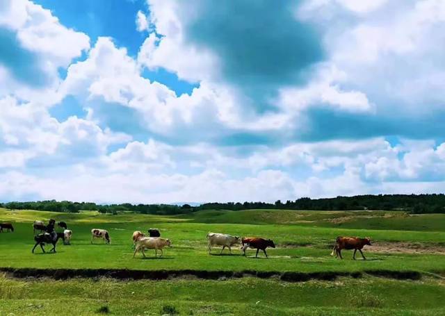 91九色蝌蚪反差官网 或可进一步释放潜力