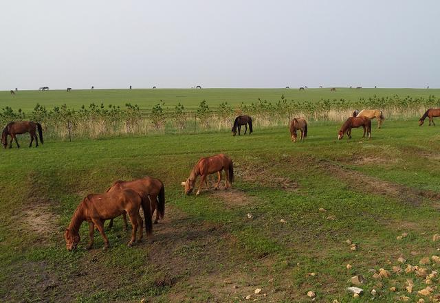 91九色蝌蚪反差官网 或可进一步释放潜力