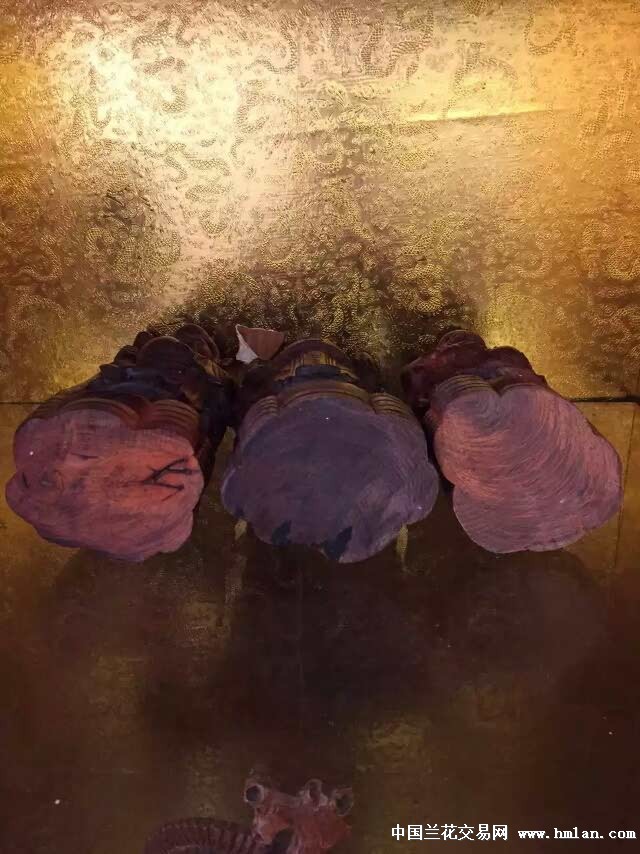 吃瓜网址 满足差异化阅读需求