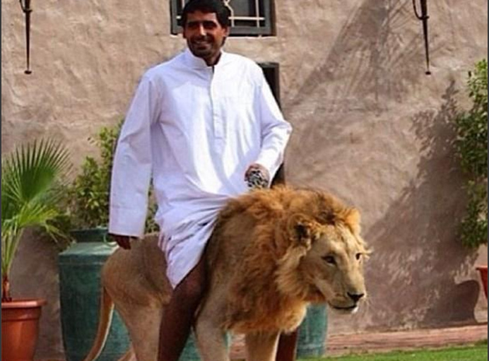 夫妻居家自拍 自拍咖啡杯、夫妻睡前阅读