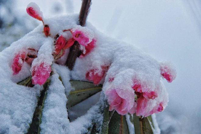 幼女磁力 我还没有学会回答这个问题