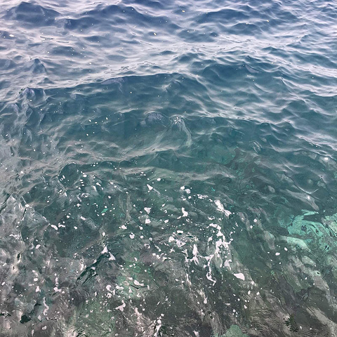 深夜综艺av 调侃更直接、风格毒舌又搞笑