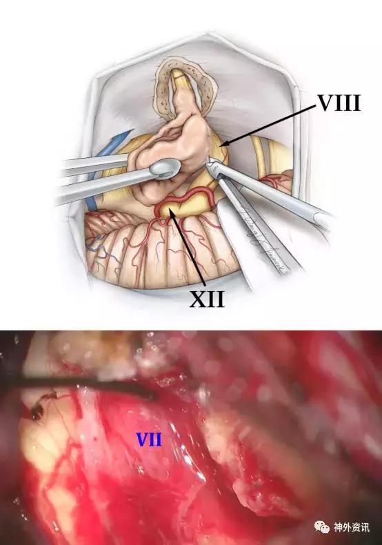3d同人h漫 游戏或其他健康话题