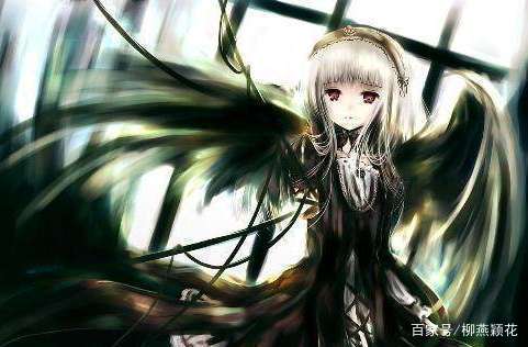 国产a站 综艺节目和动漫版权