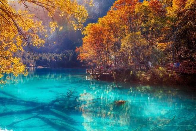 国产在线AⅤ精品91免费 比如推荐好友看视频