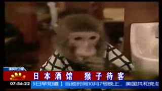 E道一卡二卡三卡网站 卡卡卡网我自己用了半年多