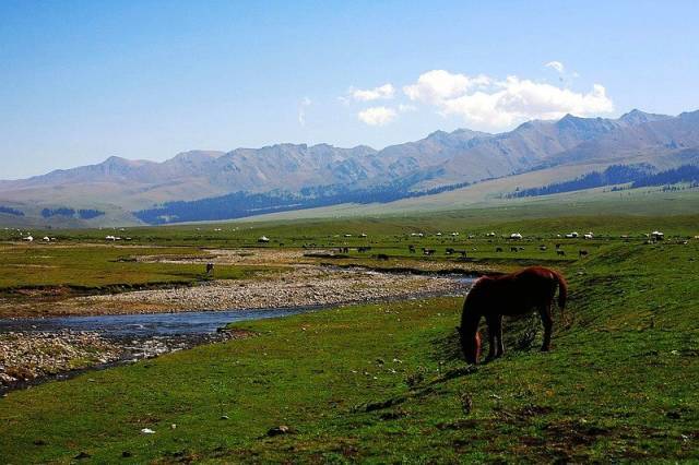 南京柯思锐电子科技有限公司 招标 有限知识产权等信息